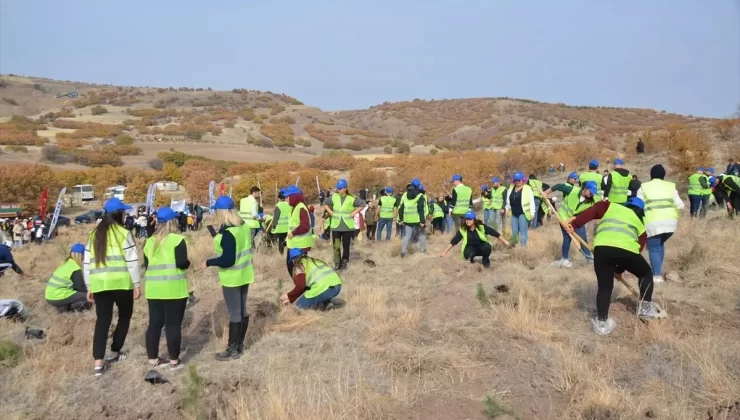 Kahramankazan’da Ağaçlandırma Etkinliği