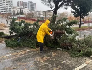 Kahramanmaraş’ta Fırtına Saldırdı
