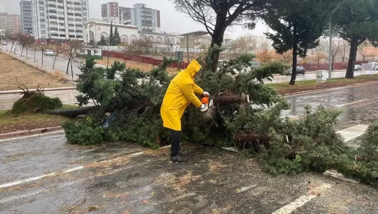 Kahramanmaraş’ta Fırtına Saldırdı
