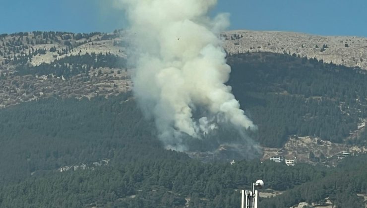 Kahramanmaraş’ta orman yangını: Ekipler müdahale ediyor