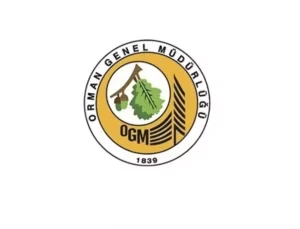 Kahramanmaraş’taki Yangın Kontrol Altında