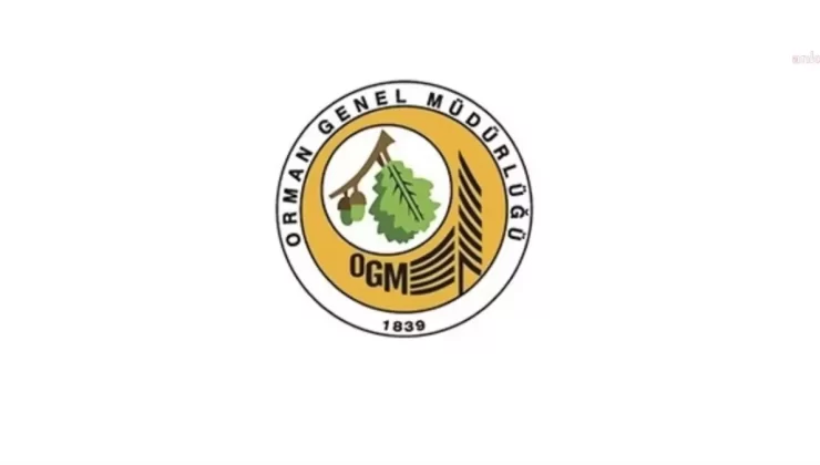 Kahramanmaraş’taki Yangın Kontrol Altında