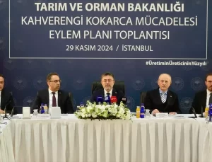 Kahverengi Kokarca ile Mücadele Başladı