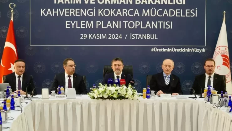 Kahverengi Kokarca ile Mücadele Başladı