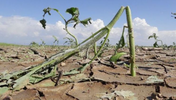 Kalkınma bankalarından yılda 120 milyar dolar iklim finansmanı hedefi
