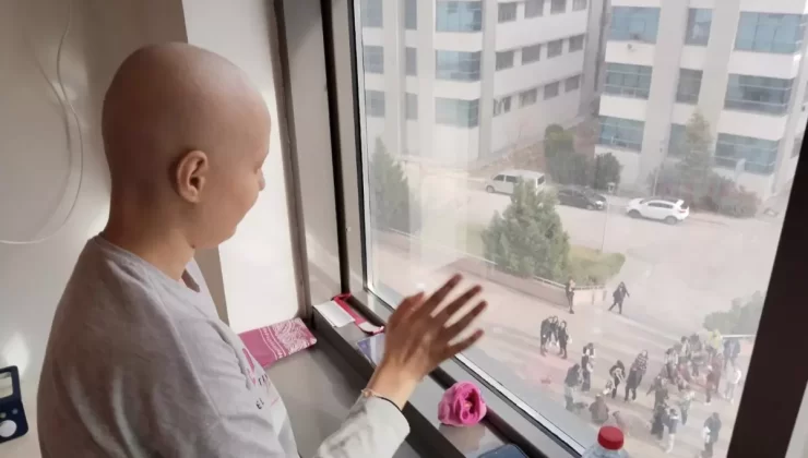 Kanserle Mücadele Eden Sude’ye Sokak Hayvanları Sürprizi