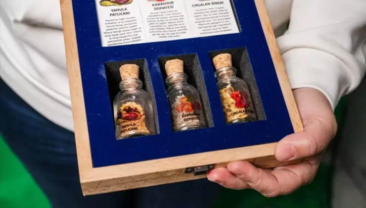 KAPTAR ile Organik Tarımda Fark Yaratan Başarı