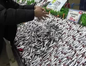 Kar Balığa Yaradı