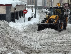 Kar Yağışı Kuzeydoğu’da Hayatı Olumsuz Etkiliyor