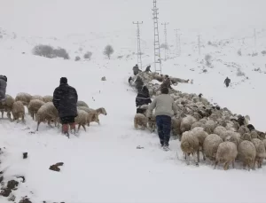 Kar Yağışıyla Mahsur Kalan Çoban ve Hayvanları Kurtarıldı