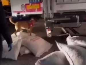 Karabük’te Metamfetamin Yakalandı