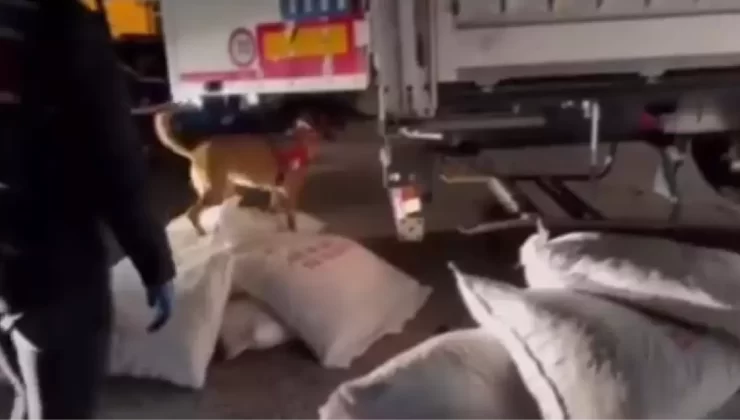 Karabük’te Metamfetamin Yakalandı