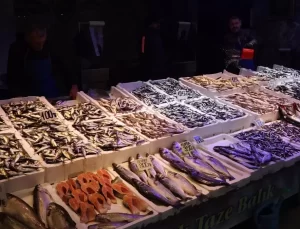 Karadeniz’de Hamsi Sezonu Başladı, Fiyatlar Uygun