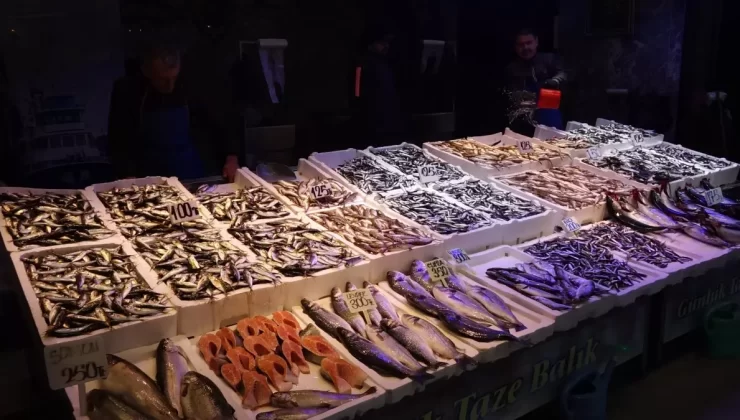 Karadeniz’de Hamsi Sezonu Başladı, Fiyatlar Uygun