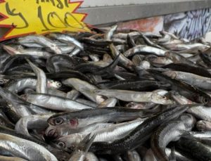 Karadeniz’de hamsi tezgahlara indi