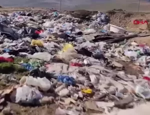 Karadeniz’de Mikroplastik Kirliliği Alarm Veriyor