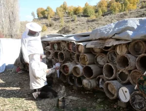 Karakovan Balı Dünya Pazarında