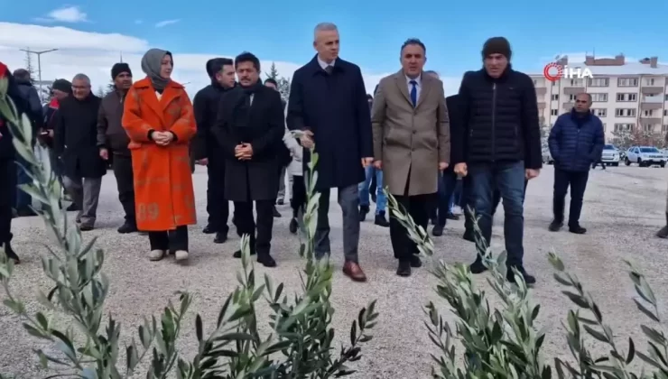 Karaman’da 45 Bin Fidan Dağıtıldı