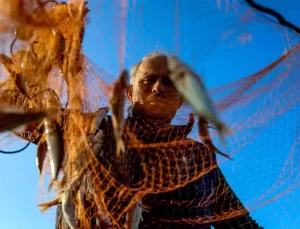 Karasu’da Barbun Avı Devam Ediyor