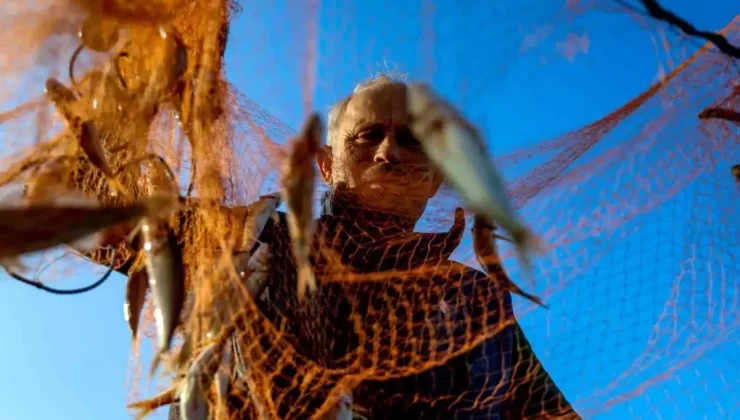 Karasu’da Barbun Avı Devam Ediyor