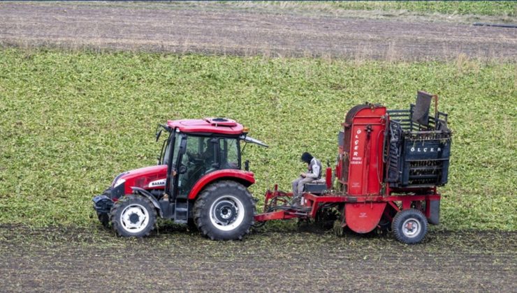 Kars’ta çiftçiler pancarı kar bastırmadan toplamak için zamanla yarışıyor