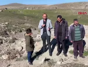 Kars’ta Kadınlar Hatıra Ormanı Kurdu
