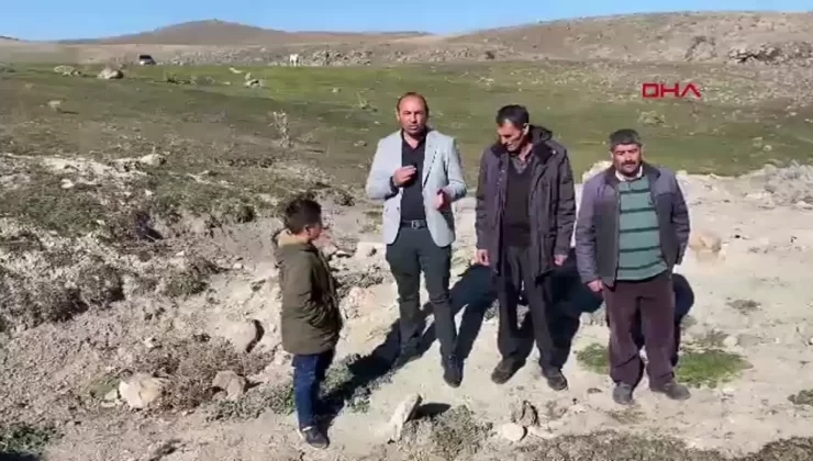 Kars’ta Kadınlar Hatıra Ormanı Kurdu