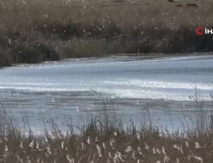 Kars’ta Lavaş Gölü Dondu