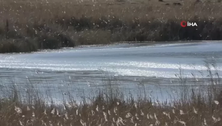 Kars’ta Lavaş Gölü Dondu