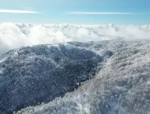 Kartepe’de Kar Yağışı ve Dronla Görüntüleme