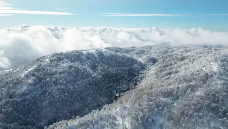 Kartepe’de Kar Yağışı ve Dronla Görüntüleme