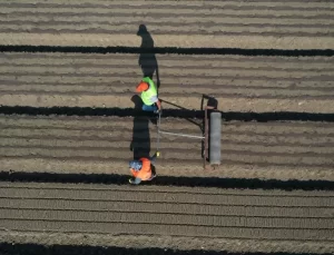 Kastamonu’da 60 Yıldır Fidan Üretimi