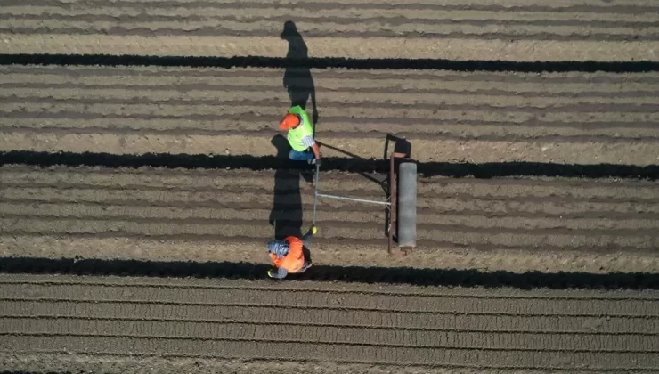 Kastamonu’da 60 Yıldır Fidan Üretimi