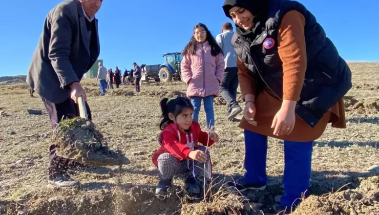 Kayaköprü Köyü’nde Kadınlar Hatıra Ormanı Kurdu
