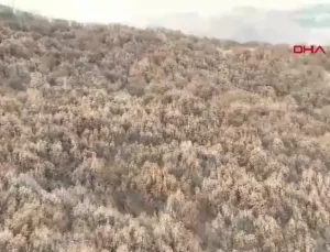 Kaybolan 5 Kız Çocuğu Dronla Bulundu