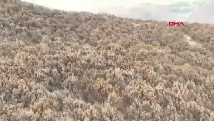 Kaybolan 5 Kız Çocuğu Dronla Bulundu