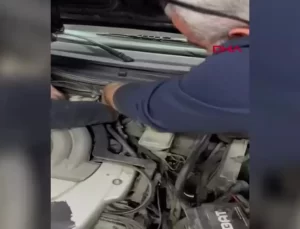 Kaybolan Kedi ‘Leydi’, Otomobilin Kaputundan Çıktı