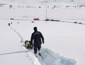 Kaybolan Küçükbaş Hayvanlar Bulundu