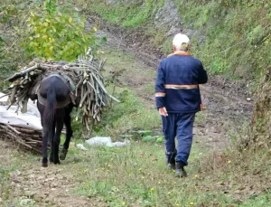 Kaybolmaya Yüz Tutan Katırcılık