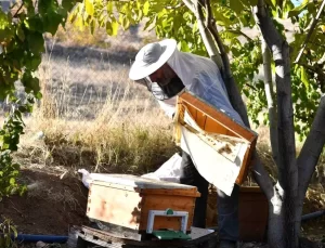Kayseri’de Arıcılığa Büyük Destek: Başkan Büyükkılıç’ın Projeleri Başarıyla Uygulanıyor