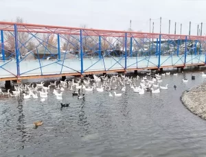 Kayseri’de Hayvanat Bahçesi Kışa Hazır