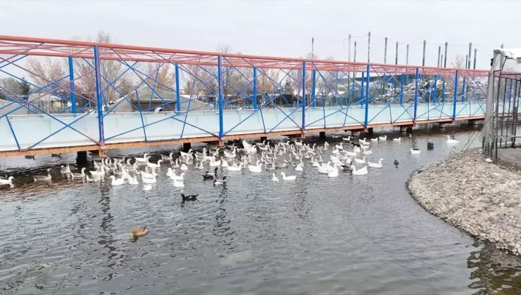 Kayseri’de Hayvanat Bahçesi Kışa Hazır