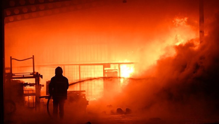 Kayseri’de mantar üretim tesisinde yangın