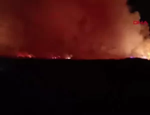 Kayseri’de Sultan Sazlığı Milli Parkı’nda Yangın Çıktı