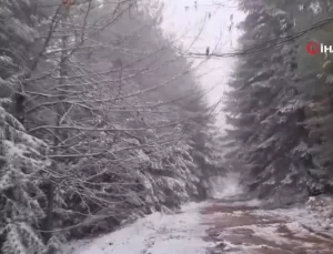 Kazdağları’na Mevsimin İlk Karı Yağdı