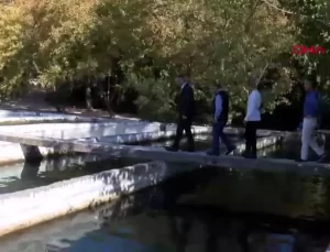 Kemer’de Alabalık Üretimi 80 Ton