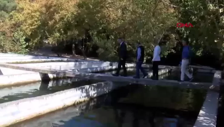 Kemer’de Alabalık Üretimi 80 Ton