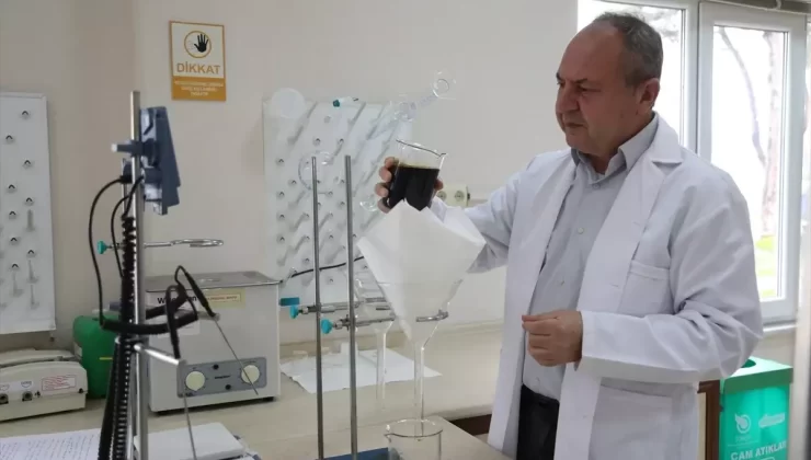 Kenevirden Biyodizel Üretildi