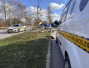 Kestel’de Kamyonet Kazası: 2 Ölü