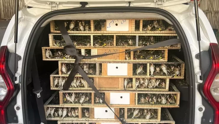 Kilis’te 6.500 Canlı Saka Kuşu Kaçakçılığına Geçit Verilmedi